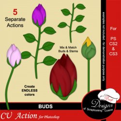 Buds by Boop Designs