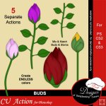 Buds by Boop Designs